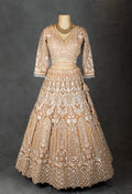 Elegant Beige Embroidered Bridal Lehenga with Net Dupatta & Detailed Work