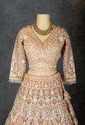 Elegant Beige Embroidered Bridal Lehenga with Net Dupatta & Detailed Work
