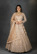 Elegant Beige Embroidered Bridal Lehenga with Net Dupatta & Detailed Work