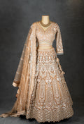 Elegant Beige Embroidered Bridal Lehenga with Net Dupatta & Detailed Work