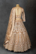 Elegant Beige Embroidered Bridal Lehenga with Net Dupatta & Detailed Work