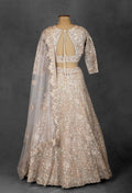 Embroidered Designer Bridal Lehenga in Pastel Beige with Sequins & Zari Work