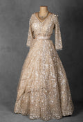 Champagne Gold Embellished Bridal Lehenga