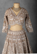 Champagne Gold Heavy Embroidered Bridal Lehenga Set with Sequin and Zari Work