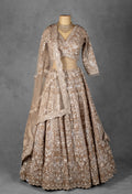Champagne Gold Heavy Embroidered Bridal Lehenga Set with Sequin and Zari Work