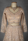 Champagne Gold Hand-Embroidered Sequin Lehenga with Sheer Dupatta & Full Sleeves Blouse