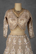 Nude Gold Embellished Lehenga Set with Full Sleeve Crop Top & Net Dupatta