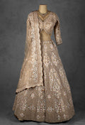 Nude Gold Embellished Lehenga Set with Full Sleeve Crop Top & Net Dupatta