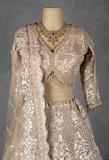Nude Gold Embellished Lehenga Set with Full Sleeve Crop Top & Net Dupatta