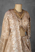 Nude Gold Embellished Lehenga Set with Full Sleeve Crop Top & Net Dupatta