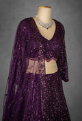 Wine Purple Sequin Embroidered Crop Top Lehenga with Net Dupatta