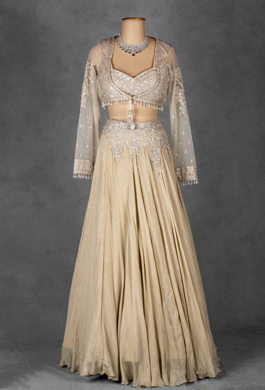 Champagne Gold Embellished Lehenga with Sheer Full-Sleeve Crop Top