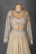Champagne Gold Embellished Lehenga with Sheer Full-Sleeve Crop Top