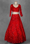 Red Embroidered Crop Top Lehenga with Net Dupatta – Designer Party & Wedding Wear