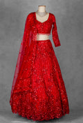 Red Embroidered Crop Top Lehenga with Net Dupatta – Designer Party & Wedding Wear