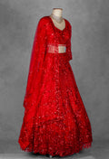 Red Embroidered Crop Top Lehenga with Net Dupatta – Designer Party & Wedding Wear