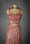 Blush Pink Sequin Embroidered Lehenga with Cutout Blouse and Net Dupatta