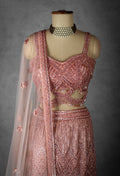 Blush Pink Sequin Embroidered Lehenga with Cutout Blouse and Net Dupatta