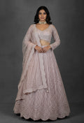 Blush Pink Sequin Embroidered Lehenga with Full-Sleeve Blouse and Net Dupatta