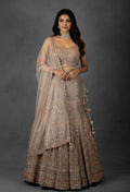 Champagne Gold Sequin Embroidered Lehenga with Beaded Blouse
