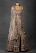 Champagne Gold Sequin Embroidered Lehenga with Beaded Blouse