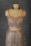 Champagne Gold Sequin Embroidered Lehenga with Beaded Blouse