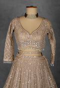 Champagne Gold Sequin Embroidered Lehenga with Full-Sleeve Blouse and Net Dupatta