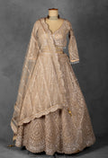 Champagne Gold Sequin Embroidered Lehenga with Full-Sleeve Blouse and Net Dupatta