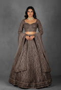 Smoky Brown Sequin Embellished Lehenga with Intricate Geometric Detailing