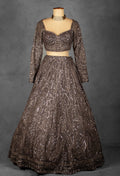 Smoky Brown Sequin Embellished Lehenga with Intricate Geometric Detailing