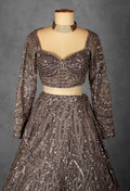 Smoky Brown Sequin Embellished Lehenga with Intricate Geometric Detailing