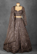 Smoky Brown Sequin Embellished Lehenga with Intricate Geometric Detailing