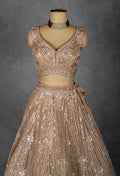 Champagne Gold Sequin Embroidered Lehenga with Structured Blouse and Net Dupatta