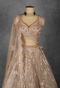 Champagne Gold Sequin Embroidered Lehenga with Structured Blouse and Net Dupatta