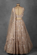 Champagne Gold Sequin Embroidered Lehenga with Structured Blouse and Net Dupatta
