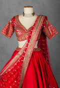 Regal Red Raw Silk Bridal Lehenga with Handcrafted Zardosi & Mirror Embroidery