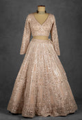 Champagne Nude Heavily Embroidered Sequin Lehenga with Full-Sleeve Blouse and Net Dupatta