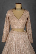 Champagne Nude Heavily Embroidered Sequin Lehenga with Full-Sleeve Blouse and Net Dupatta