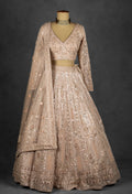 Champagne Nude Heavily Embroidered Sequin Lehenga with Full-Sleeve Blouse and Net Dupatta