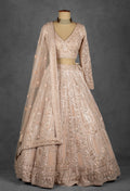 Champagne Nude Heavily Embroidered Sequin Lehenga with Full-Sleeve Blouse and Net Dupatta