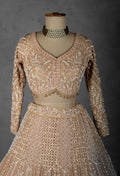 Golden Beige Hand-Embroidered Sequin and Pearl Lehenga with Full-Sleeve Blouse and Net Dupatta