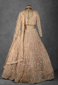 Golden Beige Hand-Embroidered Sequin and Pearl Lehenga with Full-Sleeve Blouse and Net Dupatta