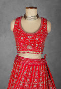 Crimson Red Handcrafted Bridal Lehenga with Heavy Zardosi and Sequin Embroidery