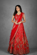Red Embroidered Bridal Lehenga with Golden Zardosi and Threadwork