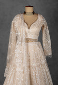 Ivory Embellished Bridal Lehenga with Crystal and Sequin Handwork