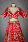 Red Bridal Lehenga with Intricate Zardosi and Resham Hand Embroidery