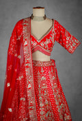 Red Bridal Lehenga with Intricate Zardosi and Resham Hand Embroidery