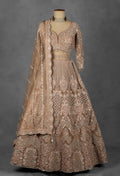 Champagne Nude Hand-Embroidered Crop Top Lehenga Set with Net Dupatta