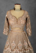 Champagne Nude Hand-Embroidered Crop Top Lehenga Set with Net Dupatta