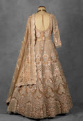 Champagne Nude Hand-Embroidered Crop Top Lehenga Set with Net Dupatta